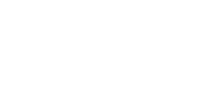 Nanlite logo